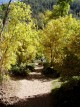 photo thumbnail #13