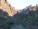 photo thumbnail #1