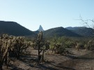 photo thumbnail #6