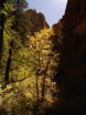 photo thumbnail #11