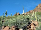 photo thumbnail #10