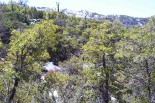 photo thumbnail #9