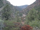 photo thumbnail #10