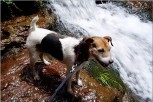 photo thumbnail #2