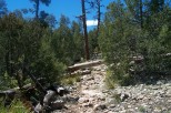 photo thumbnail #1