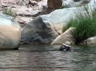 photo thumbnail #6