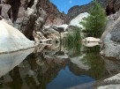 photo thumbnail #13