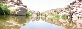 photo thumbnail #6