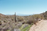 photo thumbnail #3