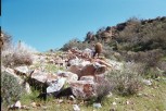 photo thumbnail #9