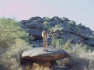 photo thumbnail #3