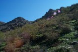 photo thumbnail #10