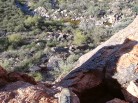 photo thumbnail #5