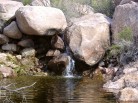photo thumbnail #7