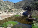 photo thumbnail #1
