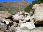 photo thumbnail #6