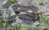 photo thumbnail #8