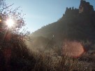 photo thumbnail #9