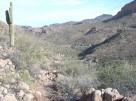 photo thumbnail #11