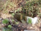 photo thumbnail #12