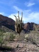 photo thumbnail #8
