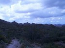 photo thumbnail #8