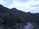 photo thumbnail #9