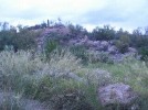 photo thumbnail #12