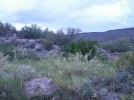 photo thumbnail #13