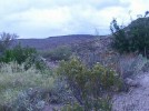 photo thumbnail #14