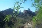 photo thumbnail #5