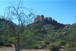 photo thumbnail #7