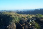 photo thumbnail #10