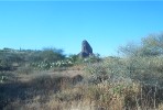 photo thumbnail #12