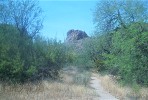 photo thumbnail #6