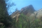 photo thumbnail #8