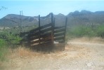 photo thumbnail #13