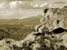 photo thumbnail #5