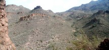 photo thumbnail #2