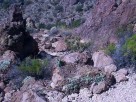 photo thumbnail #1