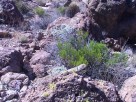 photo thumbnail #3