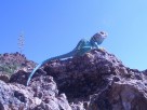 photo thumbnail #6