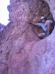 photo thumbnail #14