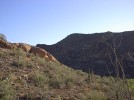 photo thumbnail #3