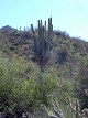 photo thumbnail #9