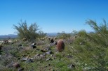 photo thumbnail #5