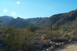 photo thumbnail #2