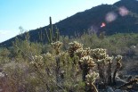 photo thumbnail #3