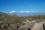 photo thumbnail #6