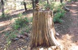 photo thumbnail #11